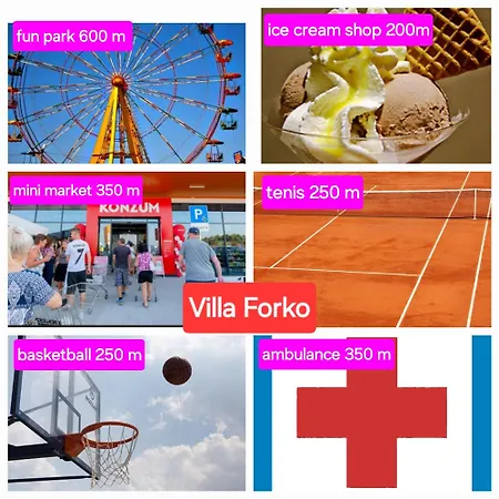 Forko 홈스테이 로파르